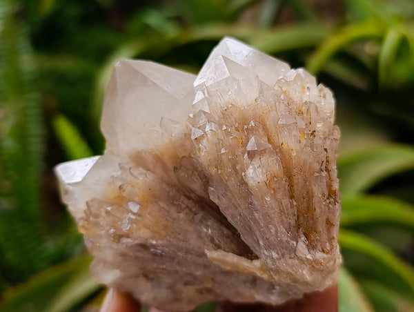 Natural Smokey Phantom Quartz Clusters x 3 From Luena, Congo