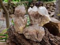 Natural Smokey Phantom Quartz Clusters x 3 From Luena, Congo
