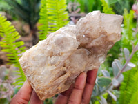 Natural Smokey Phantom Quartz Clusters x 3 From Luena, Congo