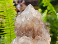 Natural Smokey Phantom Quartz Clusters x 3 From Luena, Congo