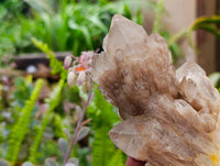 Natural Smokey Phantom Quartz Clusters x 3 From Luena, Congo