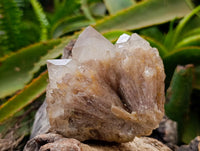 Natural Smokey Phantom Quartz Clusters x 3 From Luena, Congo