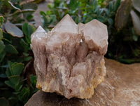 Natural Smokey Phantom Quartz Clusters x 3 From Luena, Congo