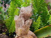 Natural Smokey Phantom Quartz Clusters x 3 From Luena, Congo