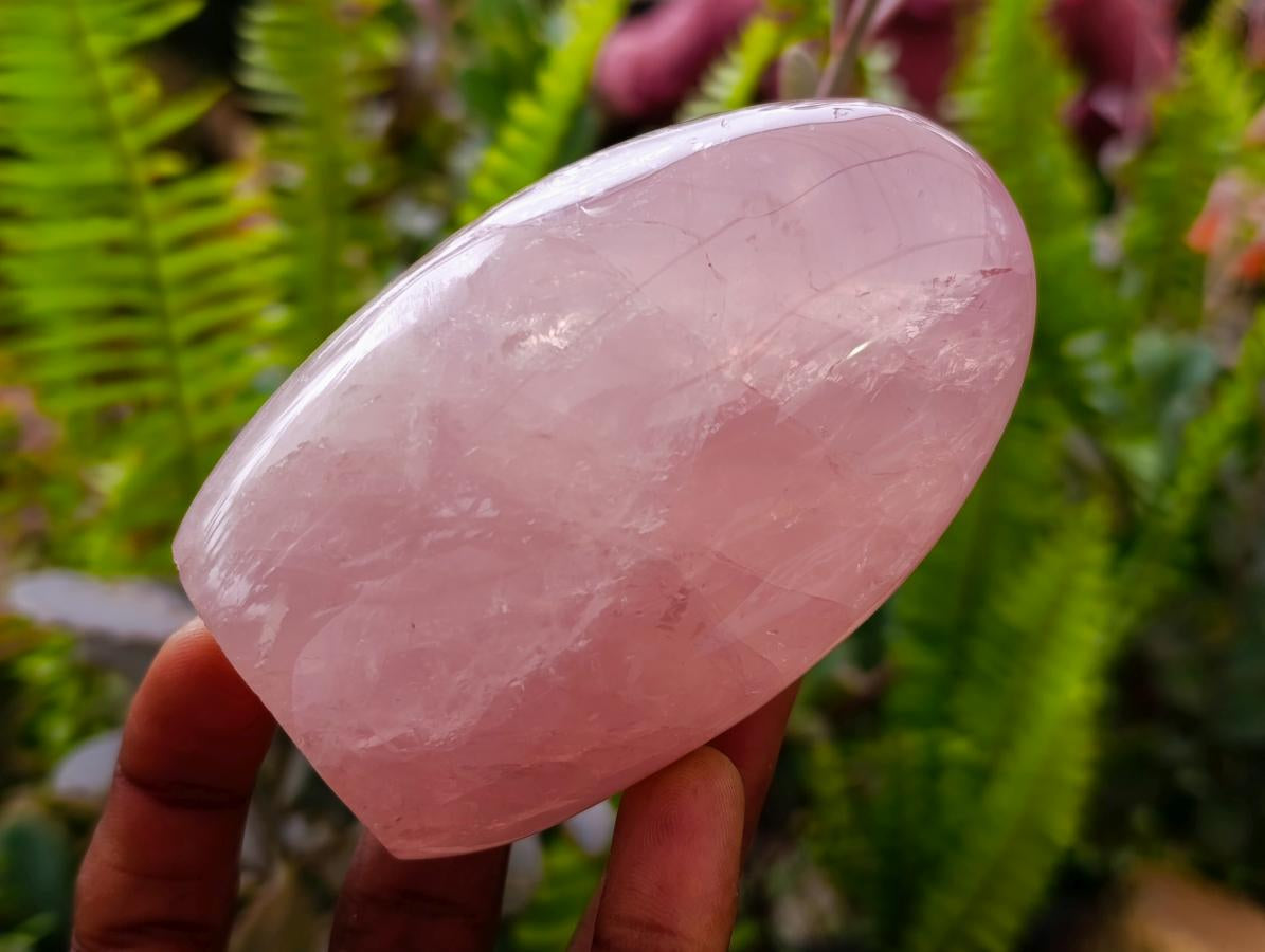 Polished Rose Quartz Standing Free Form x 4 From Madagascar