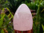 Polished Rose Quartz Standing Free Form x 4 From Madagascar