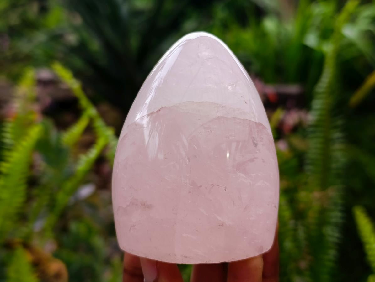 Polished Rose Quartz Standing Free Form x 4 From Madagascar