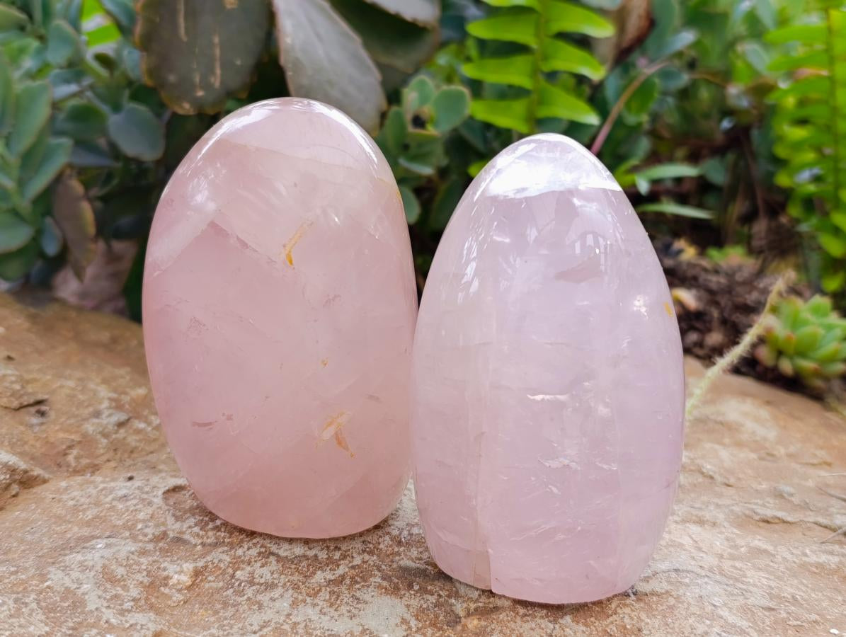 Polished Rose Quartz Standing Free Form x 4 From Madagascar