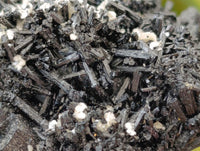 Natural Schorl Black Tourmaline with Fluorite x 12 From Erongo, Namibia