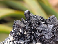 Natural Schorl Black Tourmaline with Fluorite x 12 From Erongo, Namibia