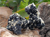 Natural Schorl Black Tourmaline with Fluorite x 12 From Erongo, Namibia