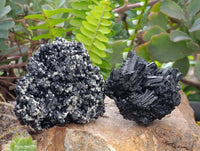 Natural Schorl Black Tourmaline with Fluorite x 12 From Erongo, Namibia