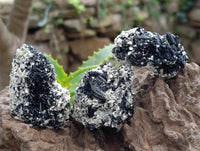 Natural Schorl Black Tourmaline with Fluorite x 12 From Erongo, Namibia