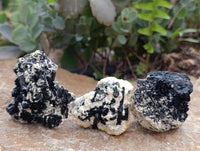 Natural Schorl Black Tourmaline with Fluorite x 12 From Erongo, Namibia