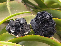 Natural Schorl Black Tourmaline with Fluorite x 12 From Erongo, Namibia