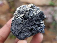 Natural Schorl Black Tourmaline with Fluorite x 12 From Erongo, Namibia