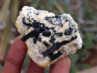 Natural Schorl Black Tourmaline with Fluorite x 12 From Erongo, Namibia