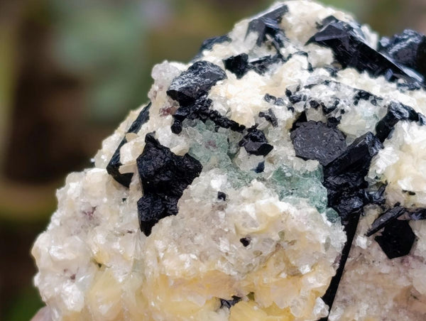 Natural Schorl Black Tourmaline with Fluorite x 12 From Erongo, Namibia