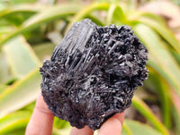 Natural Schorl Black Tourmaline with Fluorite x 12 From Erongo, Namibia