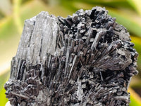 Natural Schorl Black Tourmaline with Fluorite x 12 From Erongo, Namibia