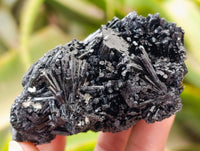 Natural Schorl Black Tourmaline with Fluorite x 12 From Erongo, Namibia