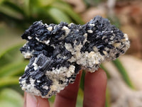 Natural Schorl Black Tourmaline with Fluorite x 12 From Erongo, Namibia