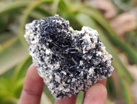 Natural Schorl Black Tourmaline with Fluorite x 12 From Erongo, Namibia