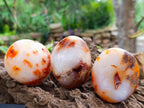 Polished Carnelian Agate Gemstone Galets x 12 From Madagascar