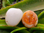 Polished Carnelian Agate Gemstone Galets x 12 From Madagascar