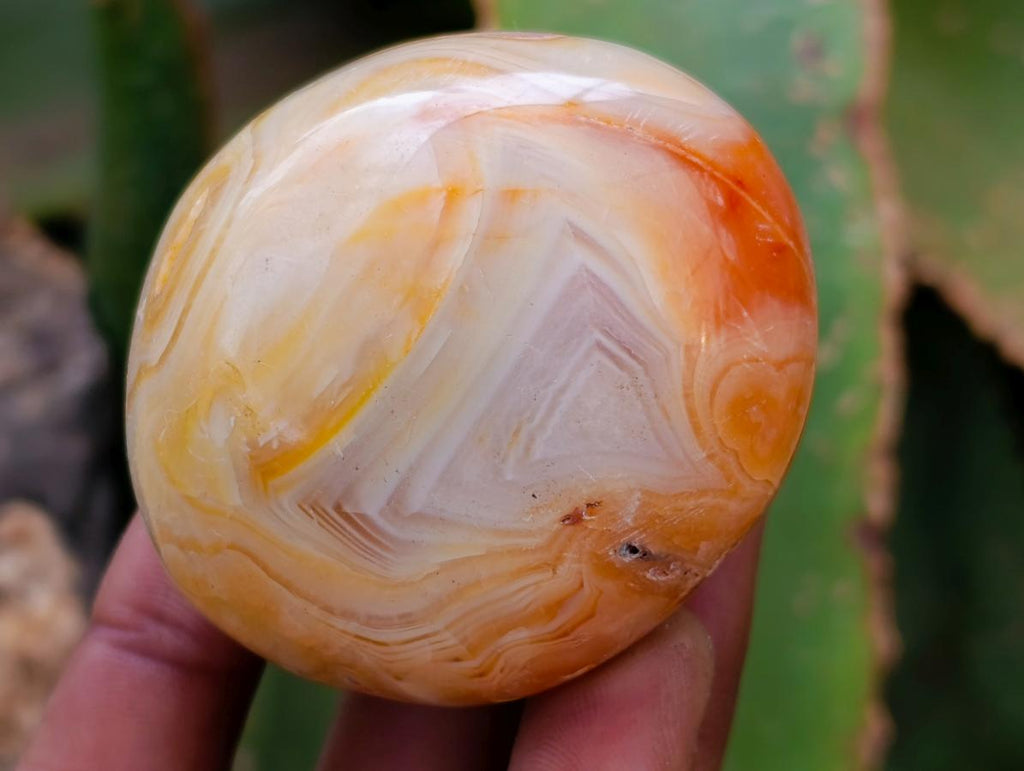 Polished Carnelian Agate Gemstone Galets x 12 From Madagascar