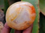 Polished Carnelian Agate Gemstone Galets x 12 From Madagascar