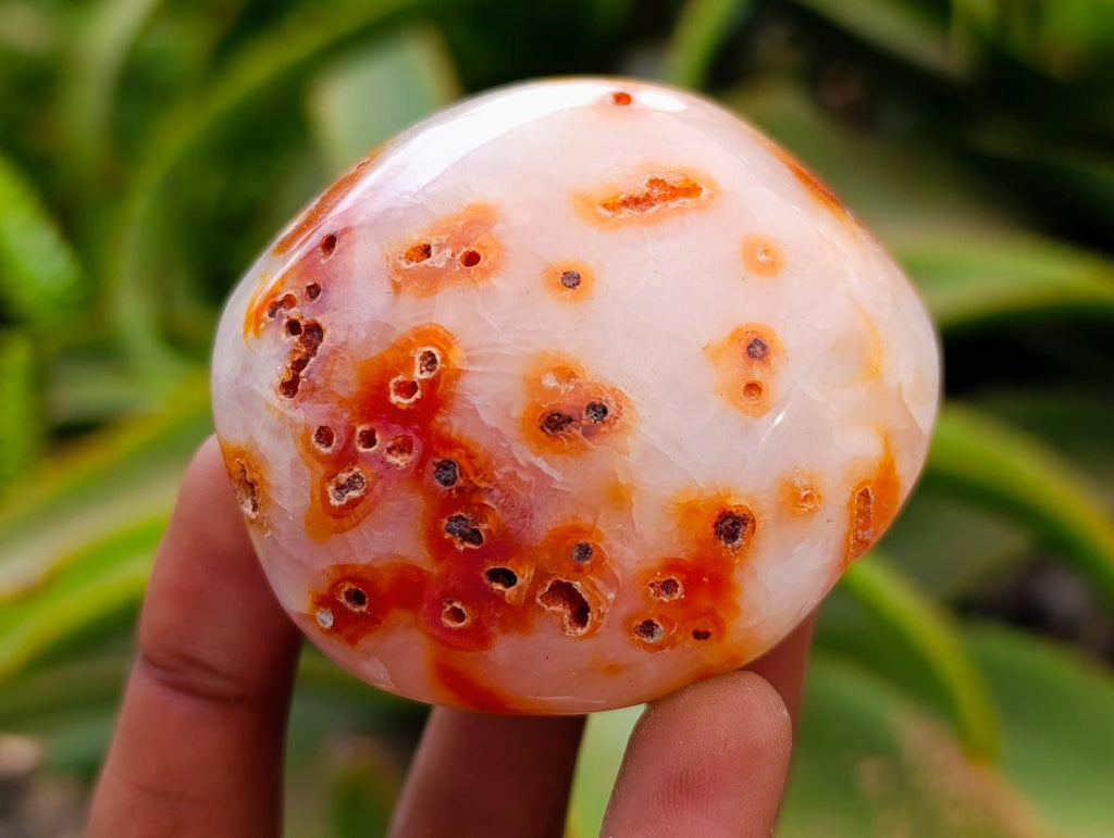 Polished Carnelian Agate Gemstone Galets x 12 From Madagascar