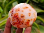 Polished Carnelian Agate Gemstone Galets x 12 From Madagascar