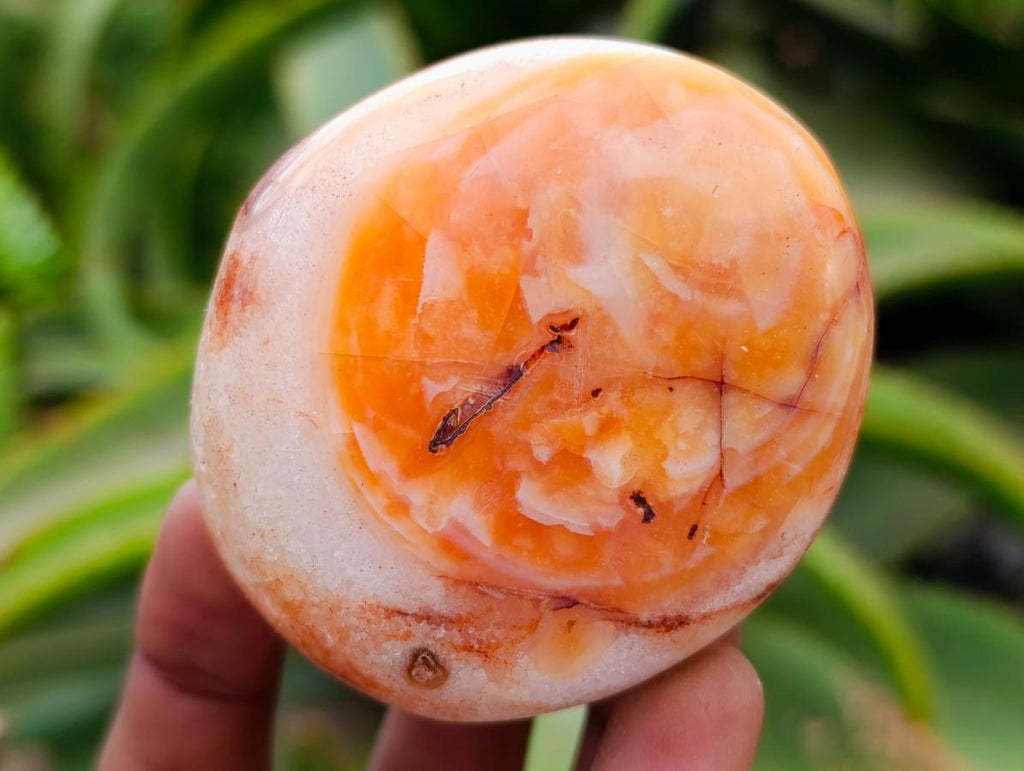 Polished Carnelian Agate Gemstone Galets x 12 From Madagascar