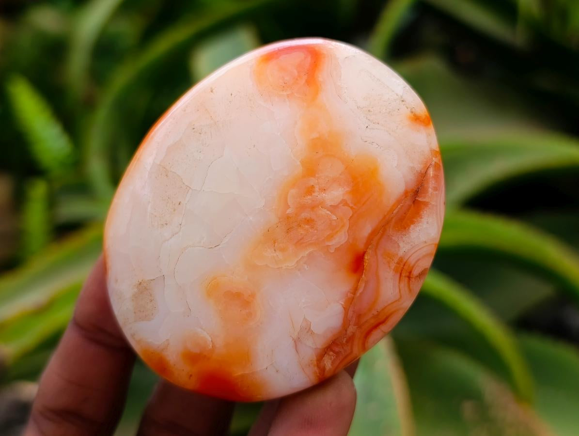 Polished Carnelian Agate Gemstone Galets x 12 From Madagascar