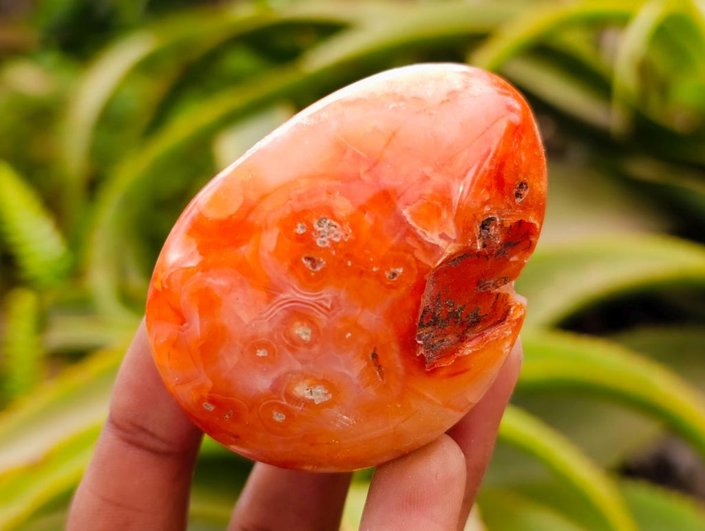 Polished Carnelian Agate Gemstone Galets x 12 From Madagascar