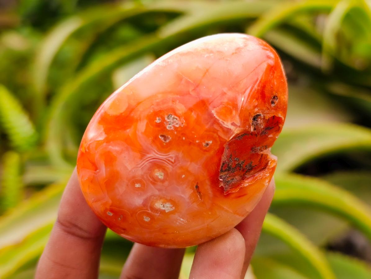 Polished Carnelian Agate Gemstone Galets x 12 From Madagascar