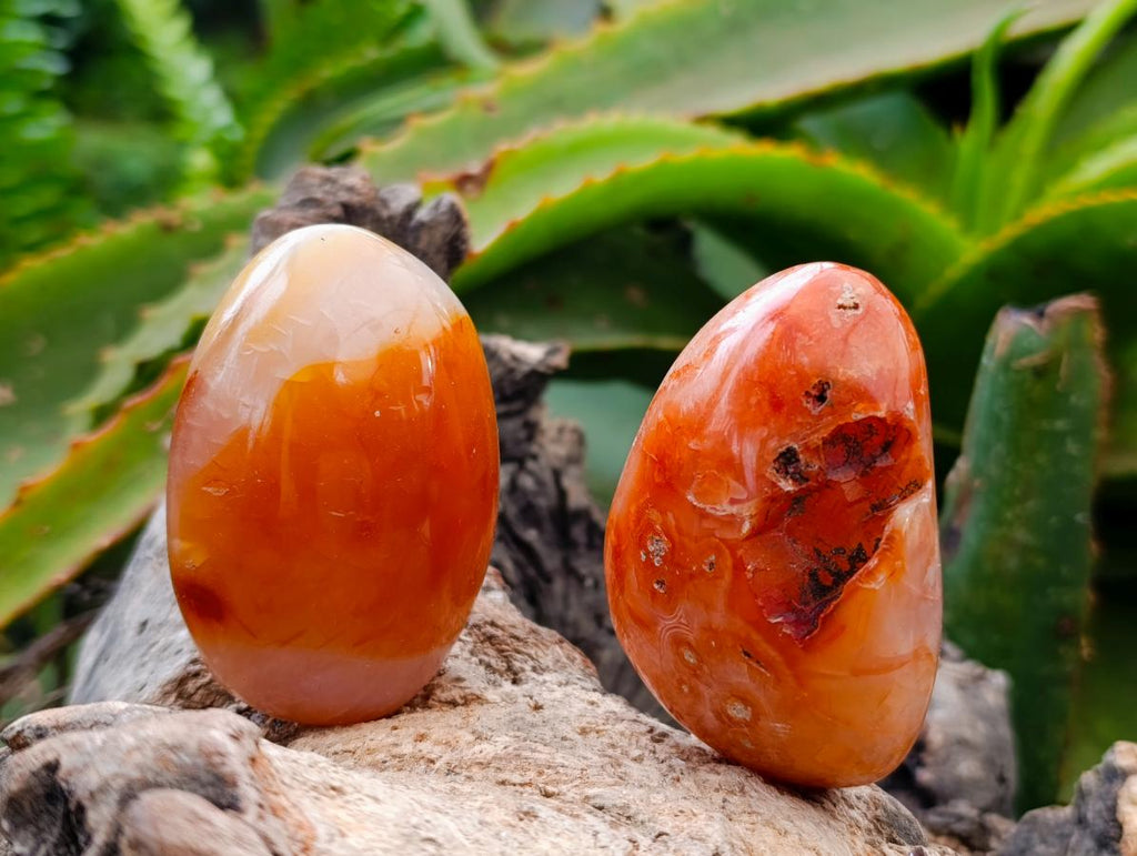 Polished Carnelian Agate Gemstone Galets x 12 From Madagascar