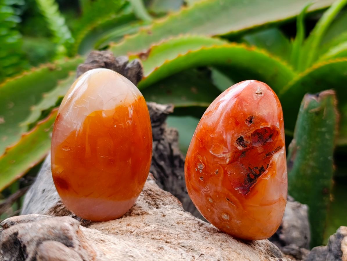 Polished Carnelian Agate Gemstone Galets x 12 From Madagascar