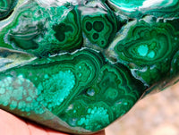 Polished Large Flower Banded Malachite Free Form x 1 From Congo