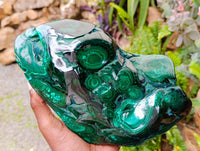Polished Large Flower Banded Malachite Free Form x 1 From Congo