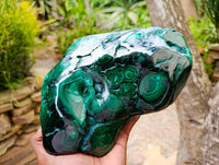Polished Large Flower Banded Malachite Free Form x 1 From Congo