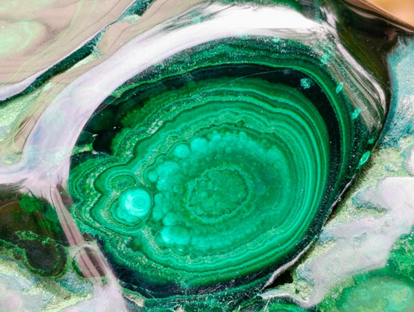 Polished Large Flower Banded Malachite Free Form x 1 From Congo