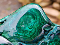Polished Large Flower Banded Malachite Free Form x 1 From Congo