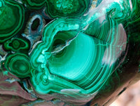 Polished Large Flower Banded Malachite Free Form x 1 From Congo