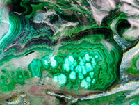 Polished Large Flower Banded Malachite Free Form x 1 From Congo