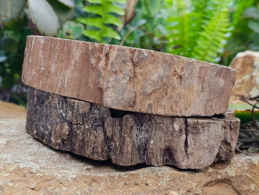 Polished On One Side Petrified Wood Slices x 2 From Gokwe, Zimbabwe - Toprock Gemstones and Minerals 