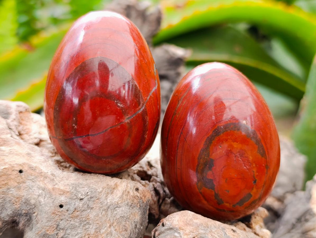 Polished Red Jasper Eggs x 12 From Madagascar