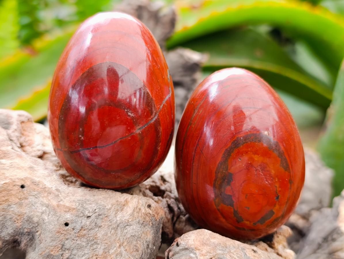 Polished Red Jasper Eggs x 12 From Madagascar