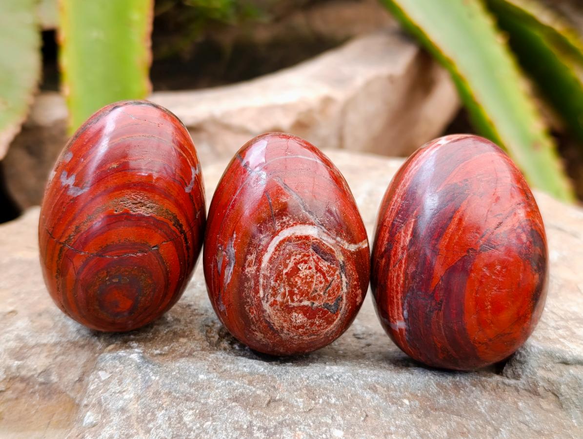 Polished Red Jasper Eggs x 12 From Madagascar